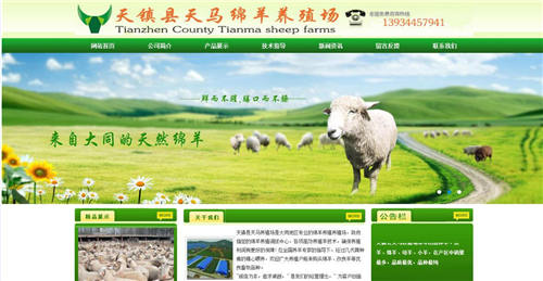 ������������ֳ��